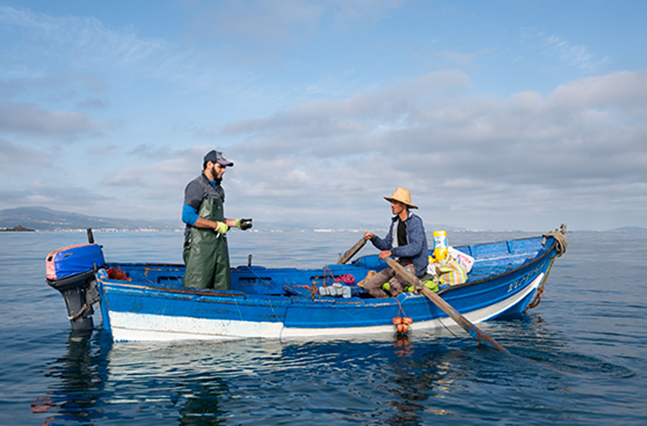 Pêche sentinelle