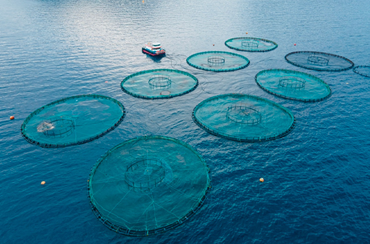 Aquaculture durable